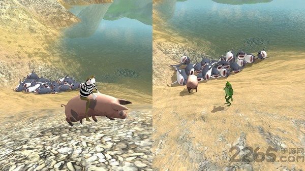 神奇的青蛙中文版