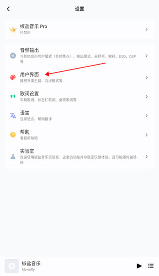 椒盐音乐app教程 椒盐音乐软件使用方法