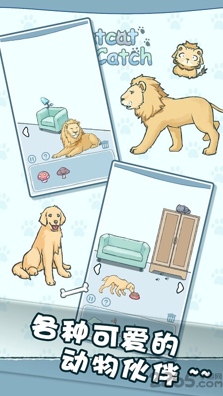 天天躲猫猫手机版