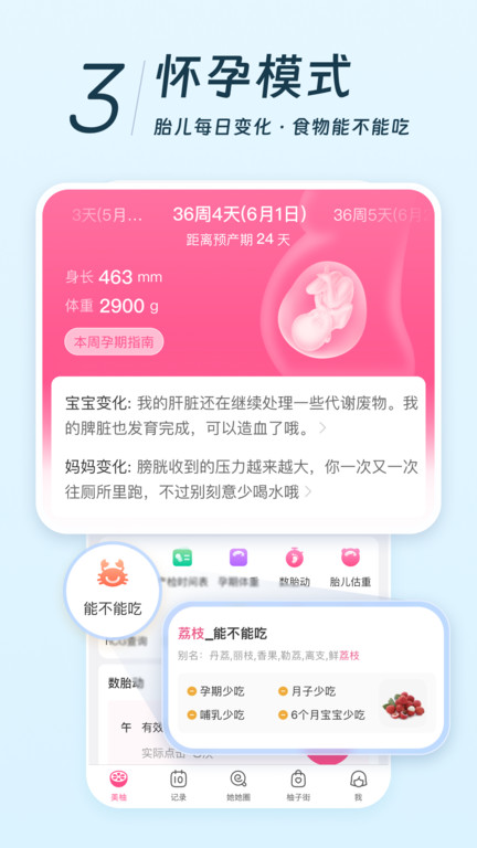 美柚经期app 美柚app下载备孕软件