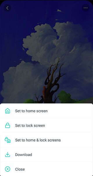 瓦利4K壁纸官方版使用教程