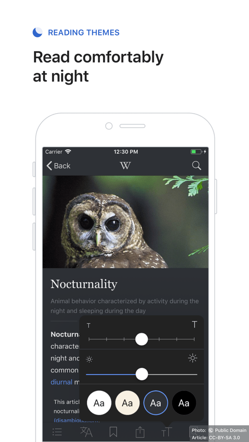 维基百科中文版
