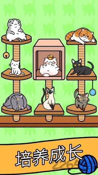 猫咪公寓手游