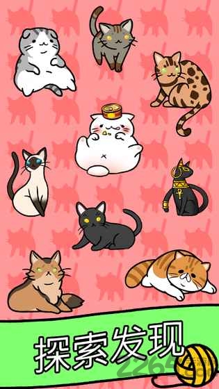 猫咪公寓手游