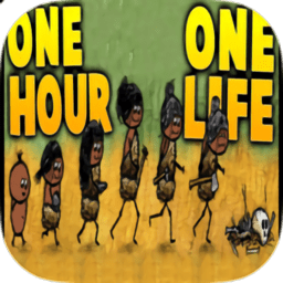 一生一小时中文版