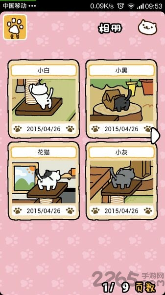 收集猫猫中文版