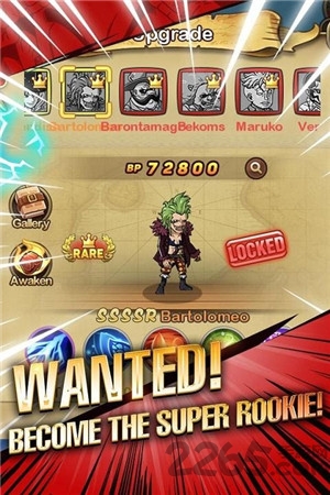 海贼王大冒险官方版