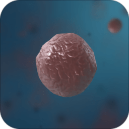 多样细菌立体分析软件