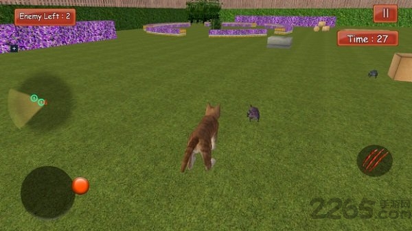 疯狂的猫与老鼠手游