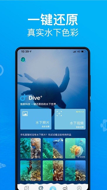diveplus中文版免费(dive+)
