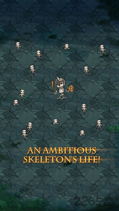 骷髅上位大派对汉化版