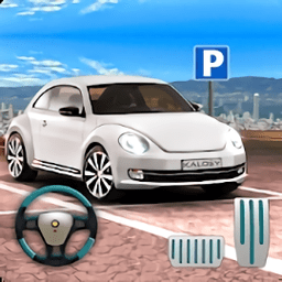 极限运动停车场官方下载最新版-极限运动停车场手游2025最新版本安卓版