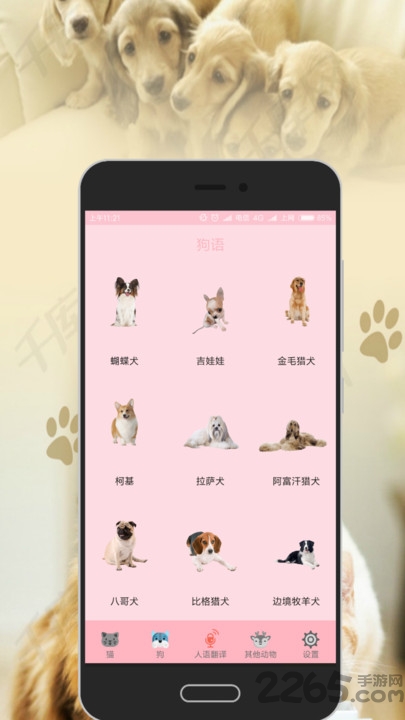 狗语猫语翻译器app