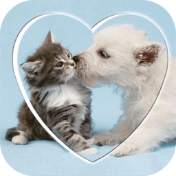 速跳猫狗交流器app(猫语狗语翻译交流器)