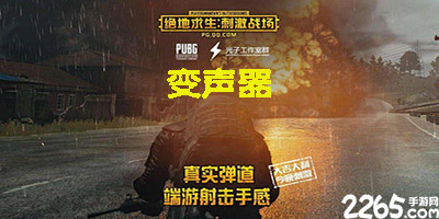 刺激战场变声器