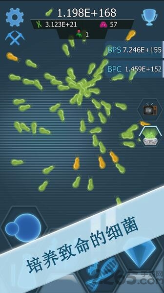 瘟疫细菌手机版