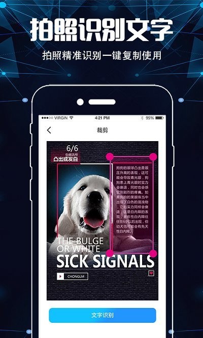 照片扫描王app