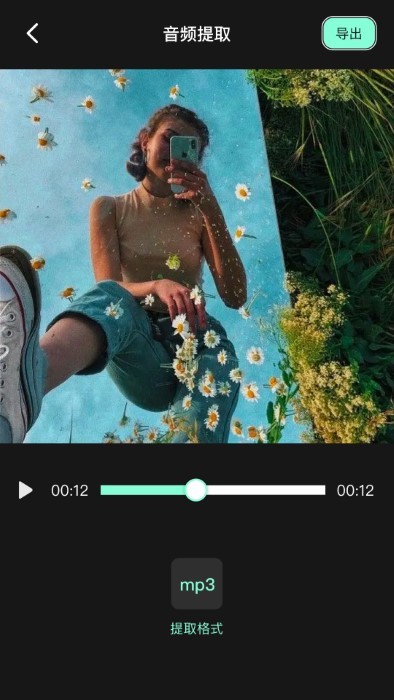 auv剪辑官方软件