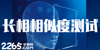 长相相似度测试软件