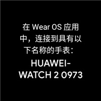 wearosbygoogle中国版app与手表连接不上怎么办 wearosbygoogle无法连接到手表解决方法