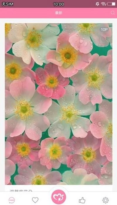 美之图app软件 美之图app下载安装最新版