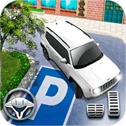驾校停车模拟器手机版