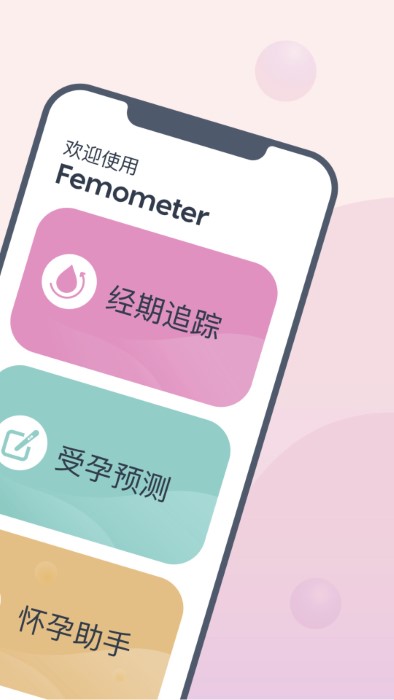 femometer电子温度计