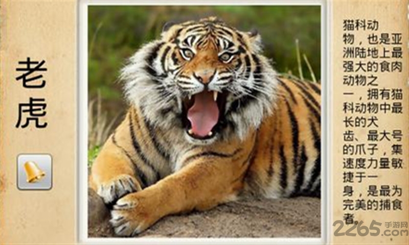 哆哆学习乐园软件