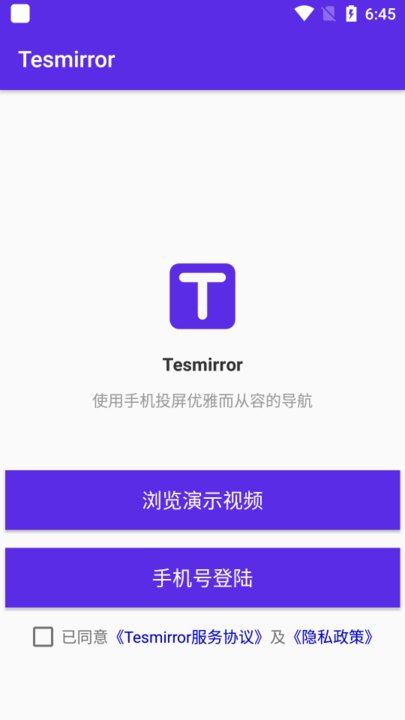 tesmirror软件