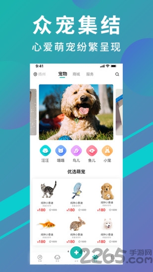 宠都宠物平台最新版