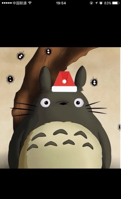 加圣诞帽的软件