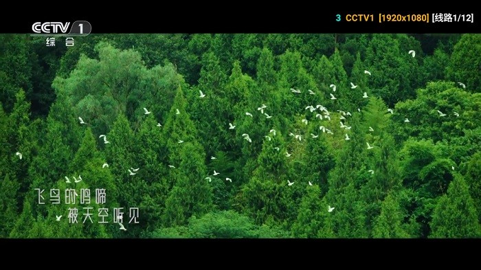 星云影视tv电视版免费