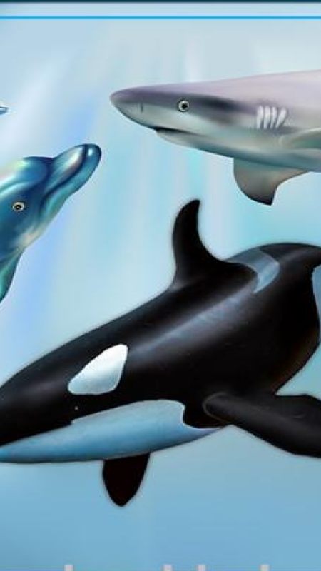 海洋生物运输卡车最新版 海洋生物运输卡车游戏下载