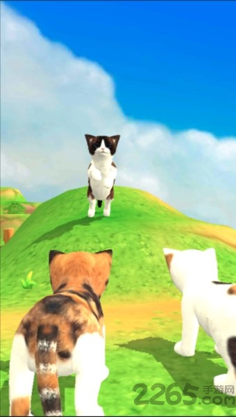 猫咪流浪记手游