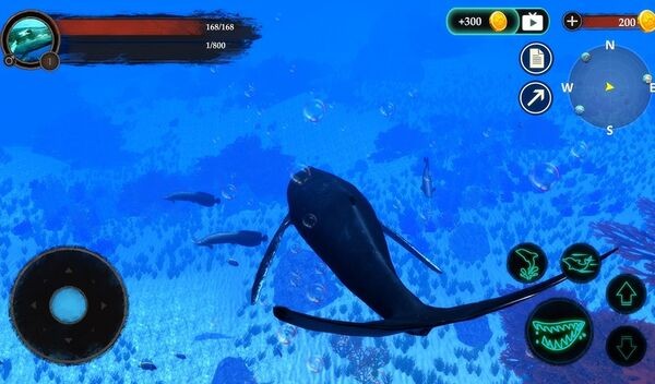 座头鲸官方版 座头鲸手机版下载