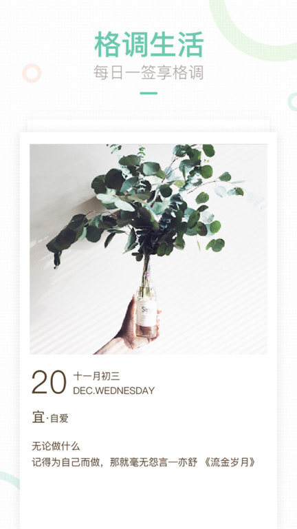 妈妈网轻聊手机版