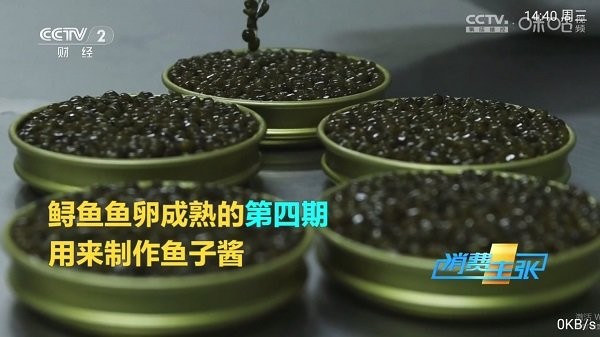 pn播放器apk软件