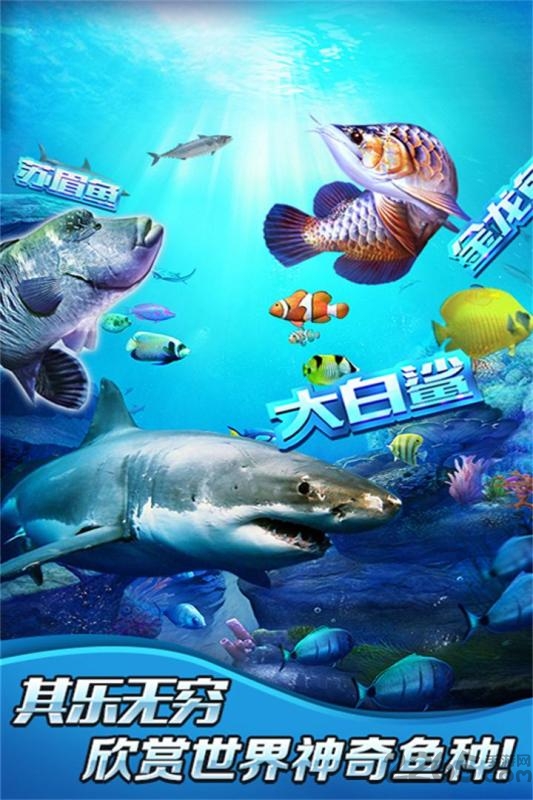 全民钓鱼3d破解版 全民钓鱼3d无限钻石版下载
