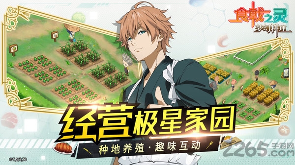 食戟之灵梦幻料理官方版手游