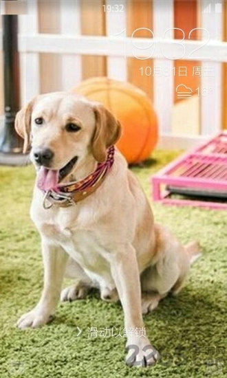 神犬小七桌面锁屏壁纸