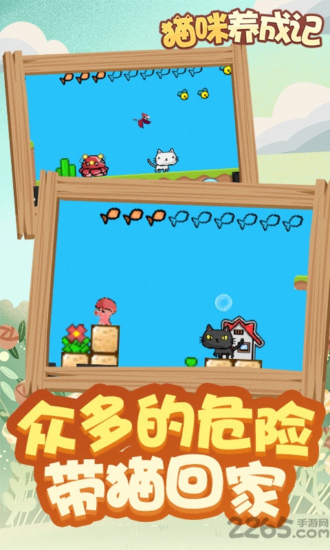 猫咪养成记赚钱游戏