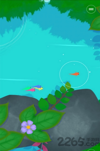 鲤 鲤中文最新版下载