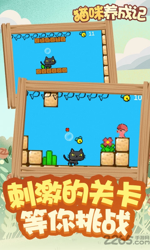 猫咪养成记app 猫咪养成记红包版下载