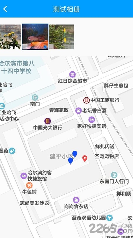 龙浩经纬拍app下载