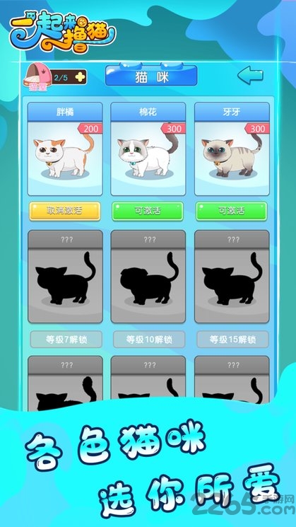 一起来撸猫游戏