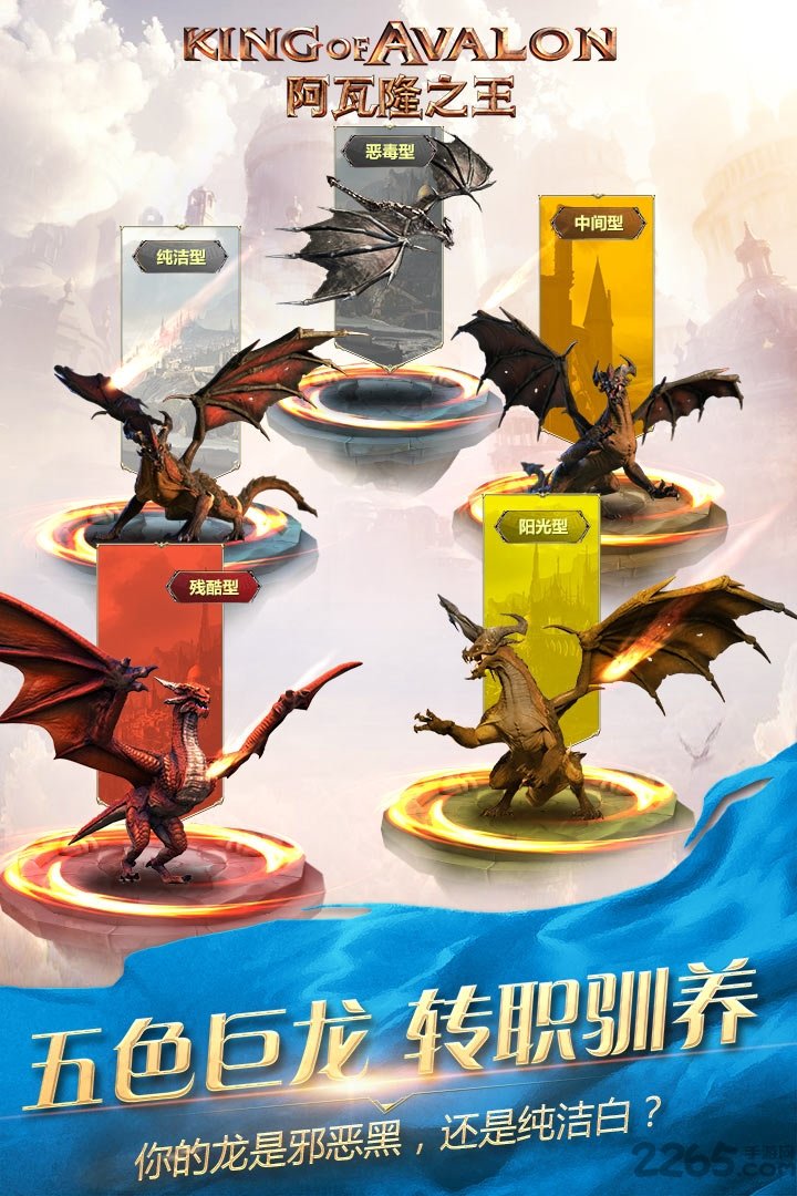 阿瓦隆之王测试服