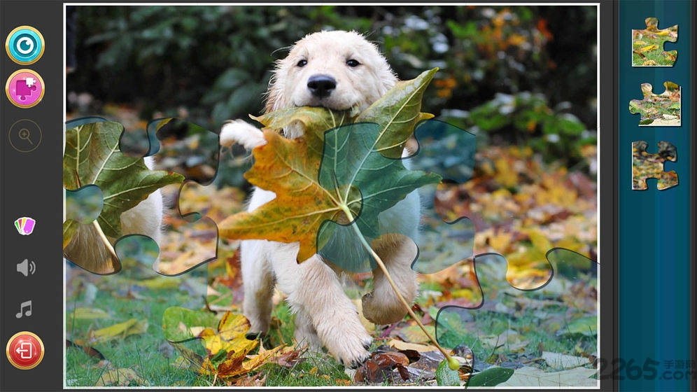 我的拼图世界最新版