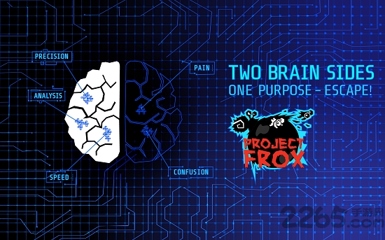 project frox中文版