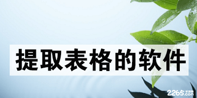 提取表格的软件