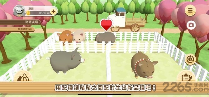 养猪场3d安卓中文版